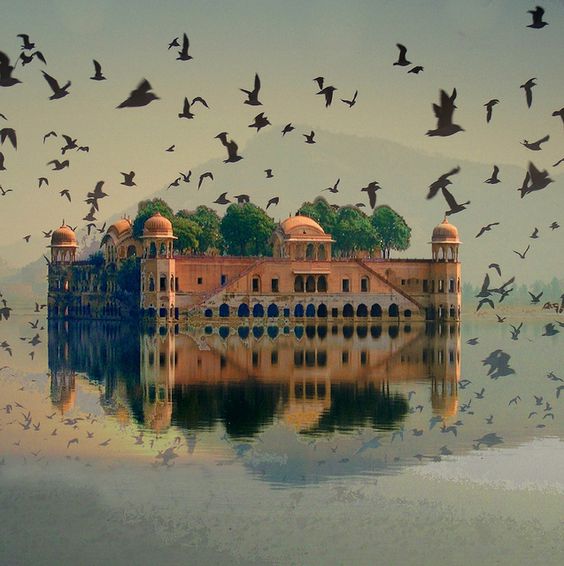 Cosas que no puedes perderte en Jaipur