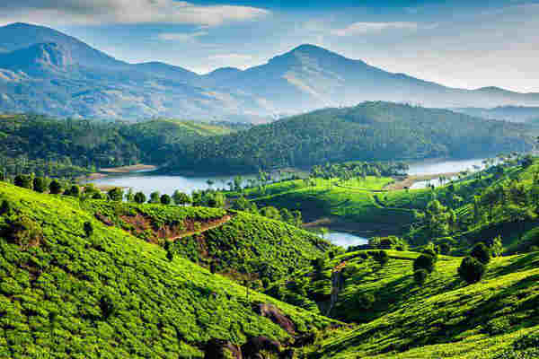 Viajar a India a medida