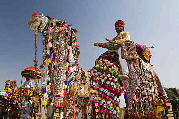 Las mejores cosas para hacer en Rajasthan