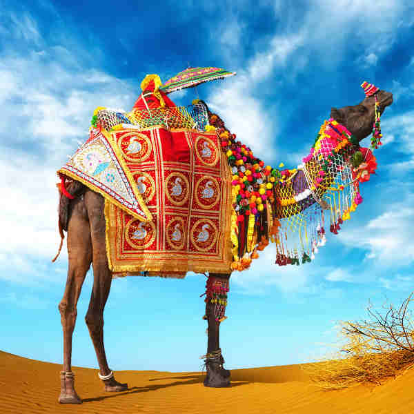 Pushkar, el pueblo de Brahma
