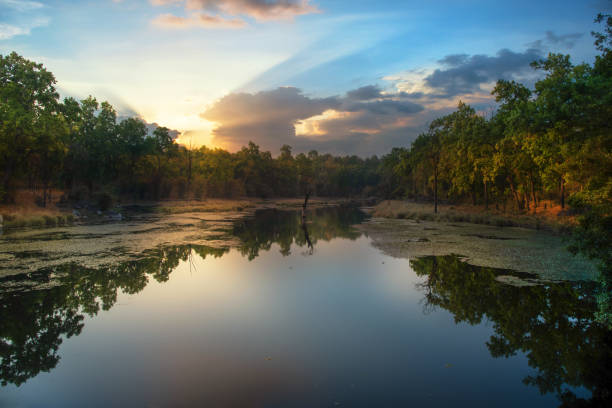 Los Parques Nacionales más importantes de la India