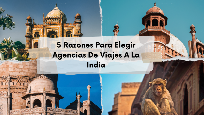 5 Razones Para Elegir Agencias De Viajes A La India