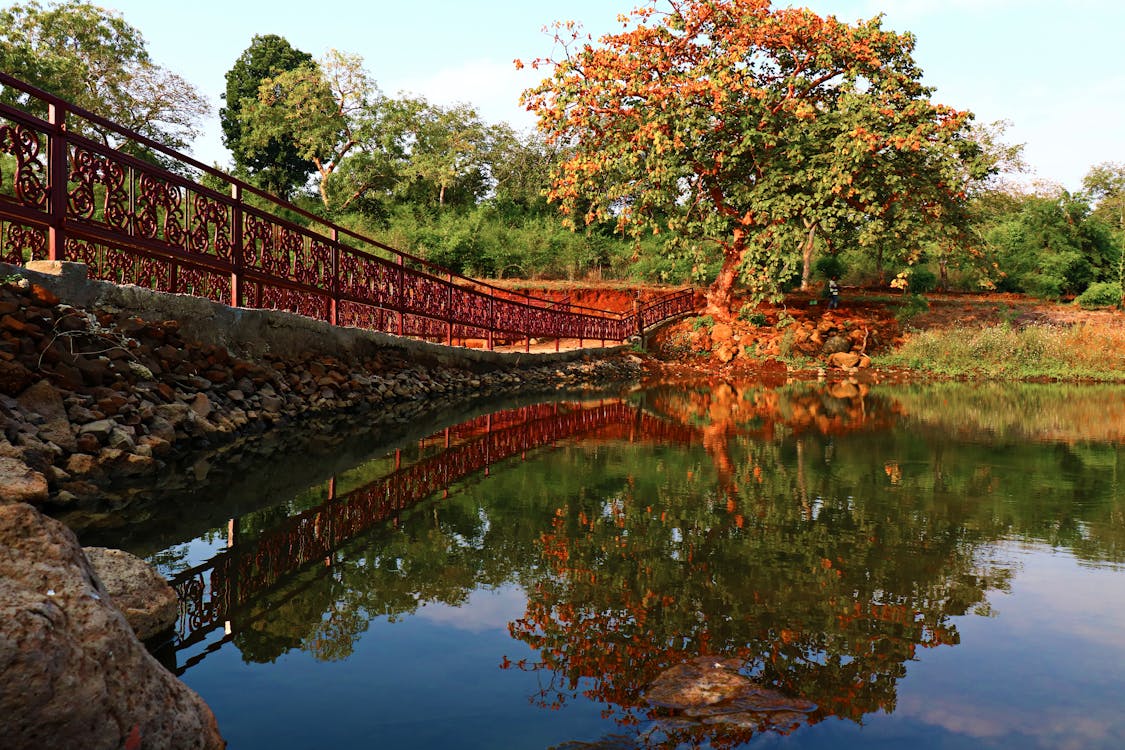 Viaje a Jabalpur