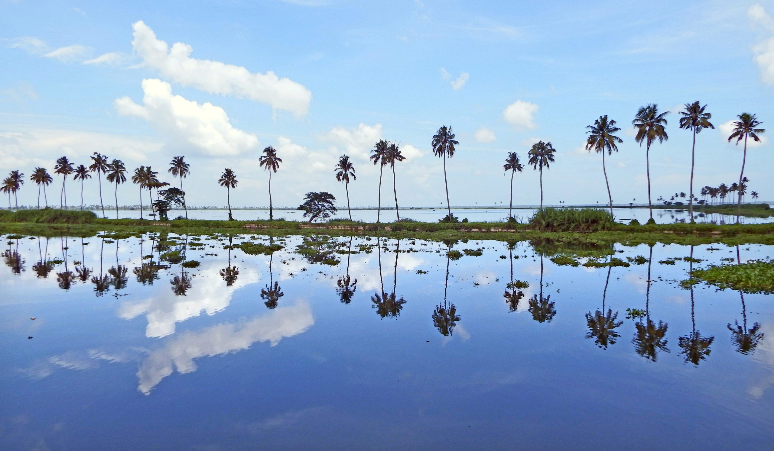 Viaje a Kottayam